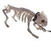 Skelet Hond -Halloween Kostuum Winkel 0dda4d65 7910 46d6 8909 50165228b594 130422