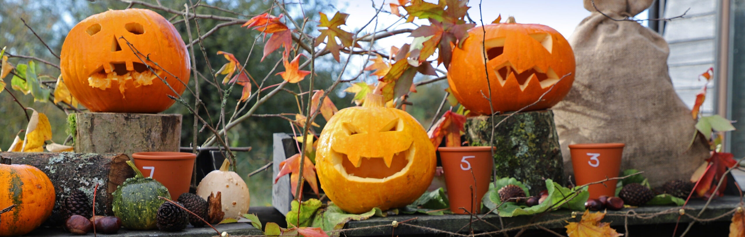 Halloween Kostuum Winkel -Halloween Kostuum Winkel 1 scaled