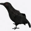 Kraai Zwart 20cm -Halloween Kostuum Winkel 29196