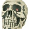 Deco Skull 39cm -Halloween Kostuum Winkel 73856