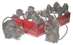 Mini Rat Decoratie Halloween