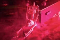 Skull, Black -Halloween Kostuum Winkel 83314218d