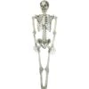 Halloween Skeleton, 150 Cm 2 Halloween Skeleton, 150 Cm -Halloween Kostuum Winkel 83314595a