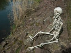 Halloween Skeleton, 150 Cm -Halloween Kostuum Winkel 83314595d