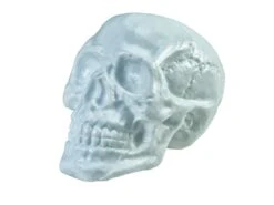 Halloween Skull, 31x22x22cm -Halloween Kostuum Winkel 83314669b
