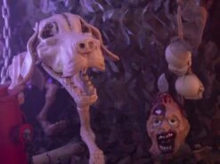 Halloween Skeleton Dog, 71x40x25cm -Halloween Kostuum Winkel 83314670c