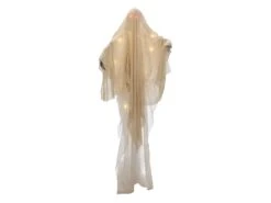 Halloween Ghost Met Verlichting