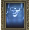 Fotolijst Geest 3D Met Licht En Geluid -Halloween Kostuum Winkel 94065 0