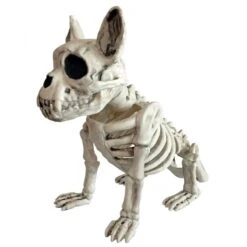 SKELETON DOG