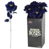 Blauwe Roos Met Kattenoog In Display -Halloween Kostuum Winkel blauwe roos met kattenoog in display 17222 nl g