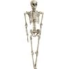 Halloween Figure Skeleton -Halloween Kostuum Winkel europalms halloween figure skeleton 165 cm