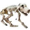 Halloween Skeleton Dog, 71x40x25cm -Halloween Kostuum Winkel europalms halloween skeleton dog 71x40x25cm