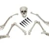 Halloween Skeleton, Multipart -Halloween Kostuum Winkel europalms halloween skeleton multipart