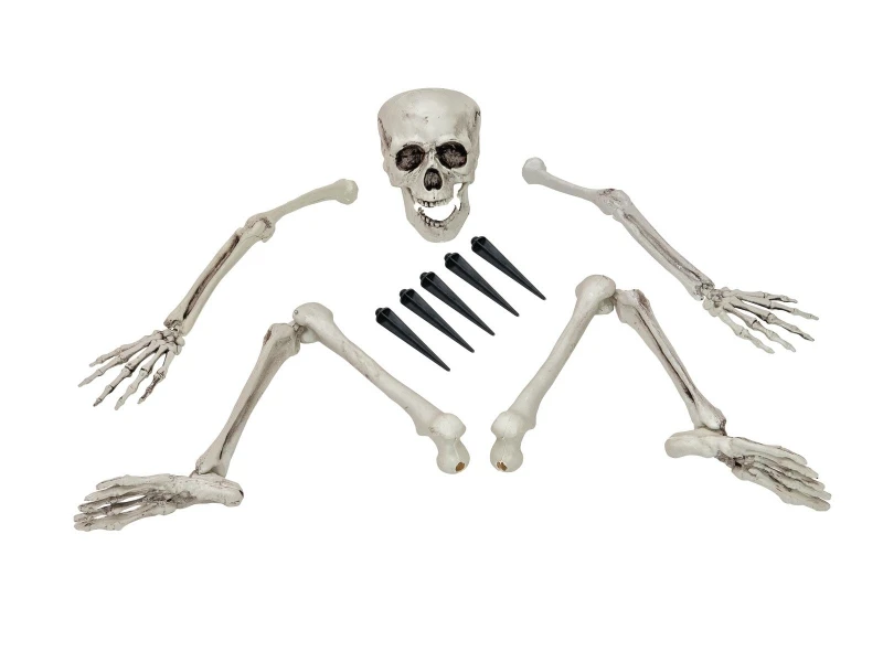 Halloween Skeleton, Multipart 3 Halloween Skeleton, Multipart