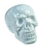 Halloween Skull, 31x22x22cm 1 Halloween Skull, 31x22x22cm -Halloween Kostuum Winkel europalms halloween skull 31x22x22cm