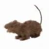 Rat 30cm -Halloween Kostuum Winkel rat faram